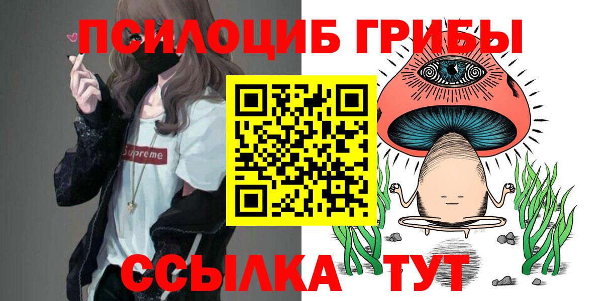 Псилоцибиновые грибы Magic Shrooms  купить закладку  Новый Уренгой  Вход с VPN 