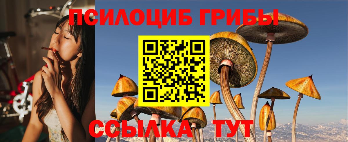 Галлюциногенные грибы Psilocybine cubensis Новый Уренгой